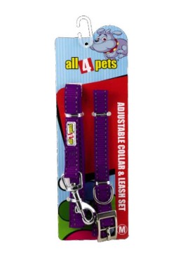 All4pets Nylon Collar And Lead Set With Radium For Dog